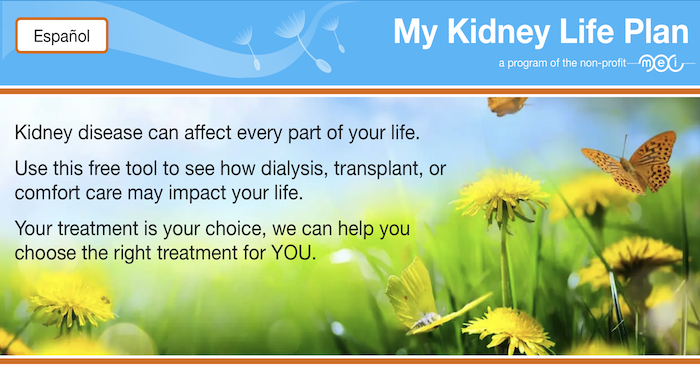 My Kidney Life Plan Website