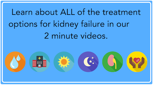 2 minute videos on Kidney Disease Treatment Options