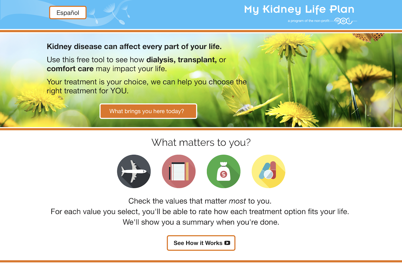 My Kidney Life Plan Example Results